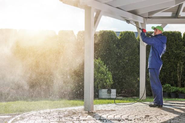 Best Sidewalk and Walkway Cleaning  in Alpena, MI